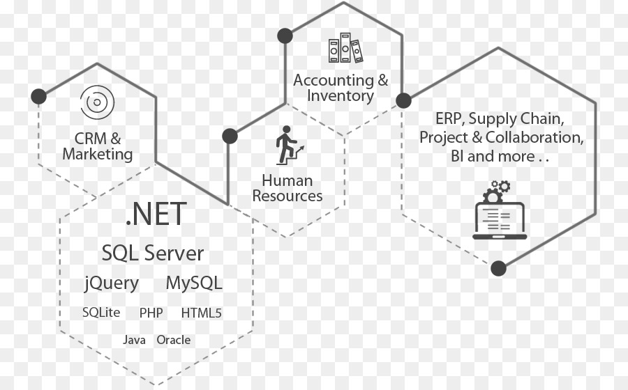 Flaxicar，La Contabilidad De Recursos Humanos PNG