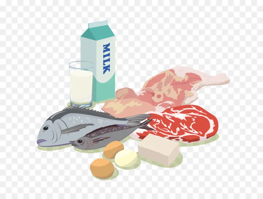 Alimento，Proteína PNG