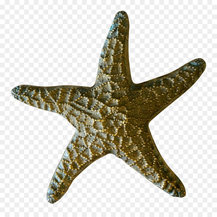 Estrella De Mar，Mar PNG