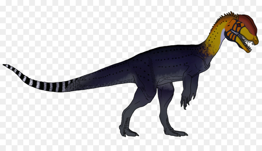 Dilophosaurus，Velociraptor PNG