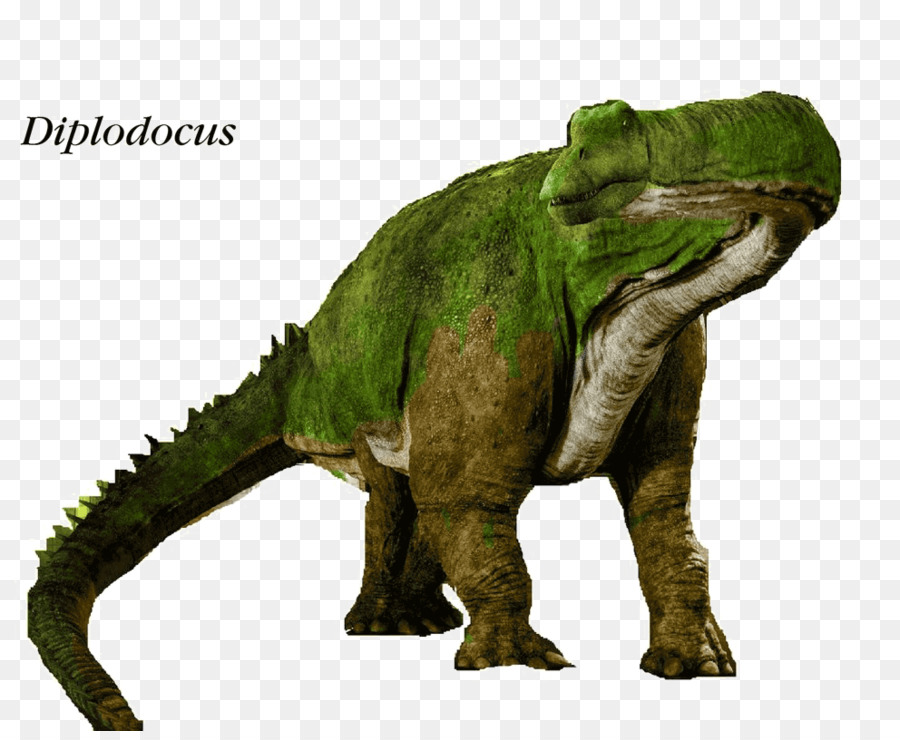 Yangchuanosaurus，Diplodocus PNG