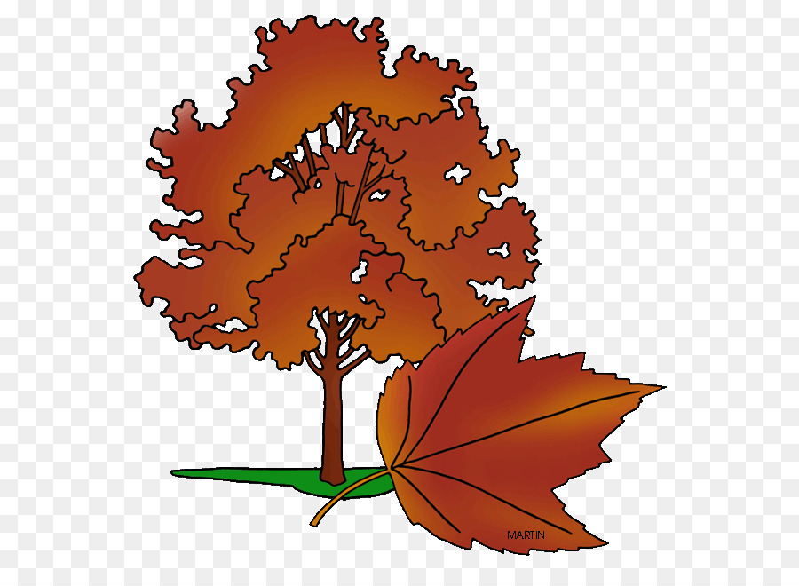 Rhode Island，Árbol PNG