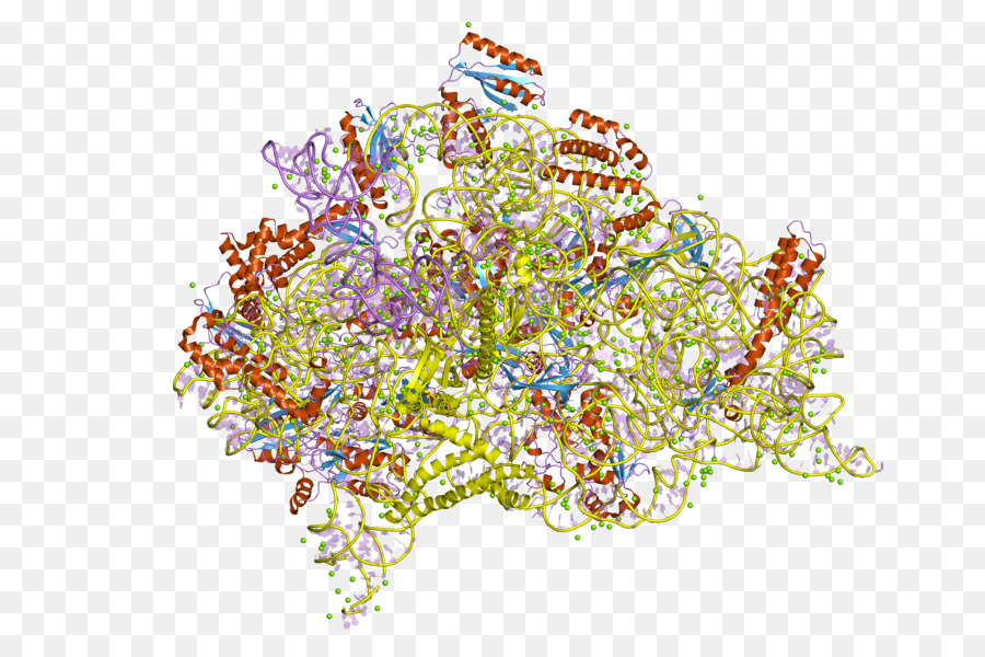 Estructura Colorida，Molécula PNG