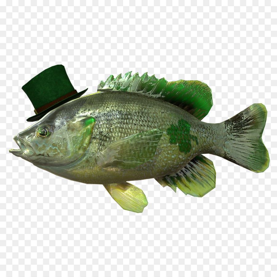 El Día De San Patricio，La Pesca PNG