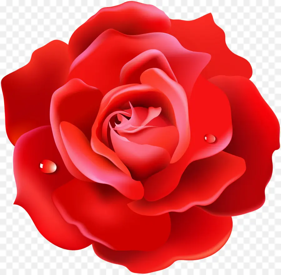 Corazón Rosa，Amar PNG