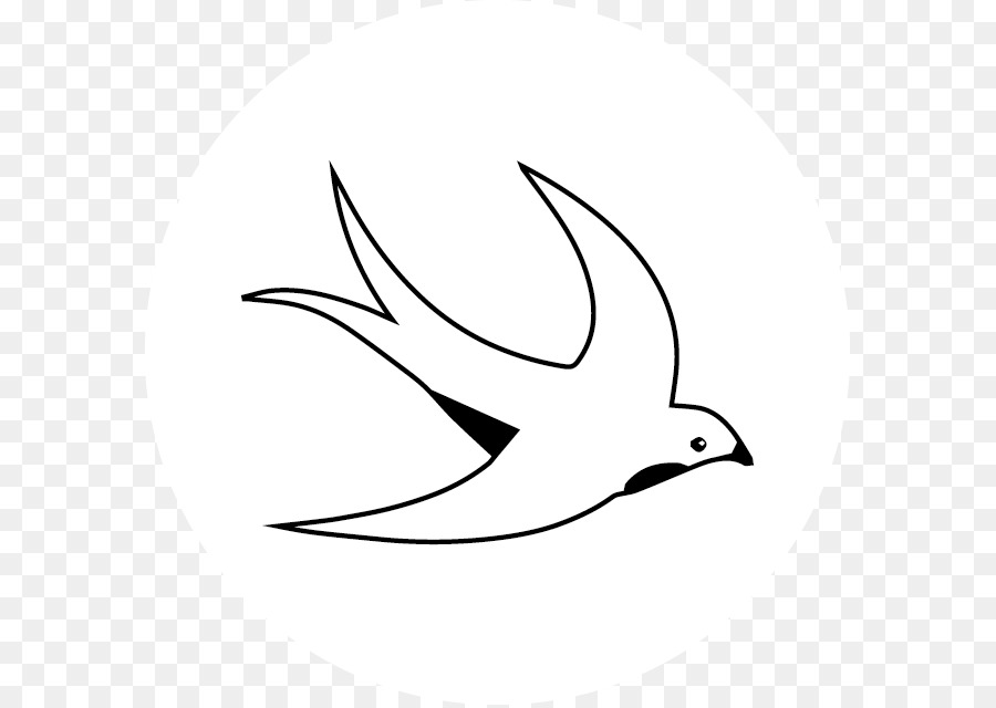 Pico，Aves PNG