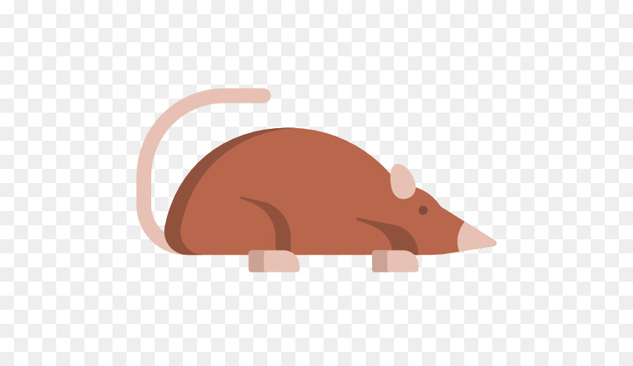 Rata，Iconos De Equipo PNG