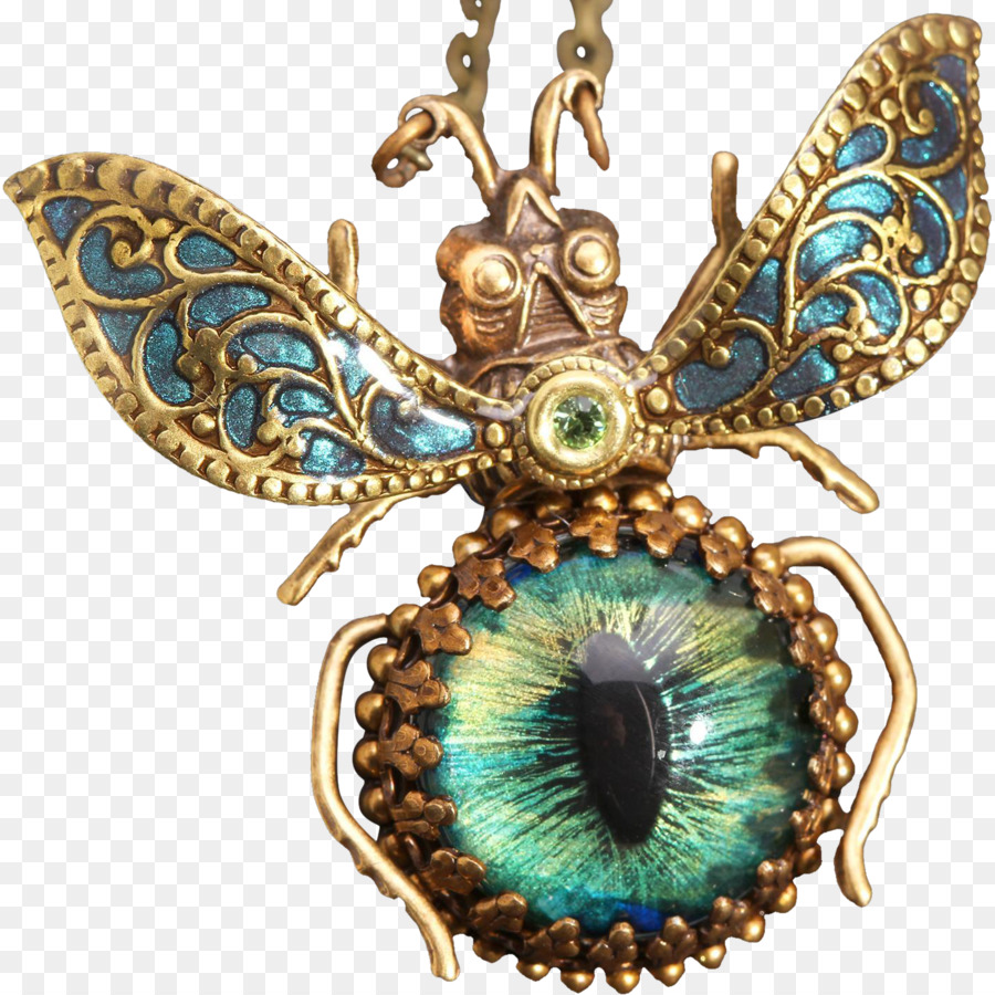 Colgante De Insectos，Collar PNG