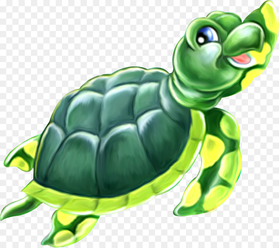 Tortuga，Reptiles PNG