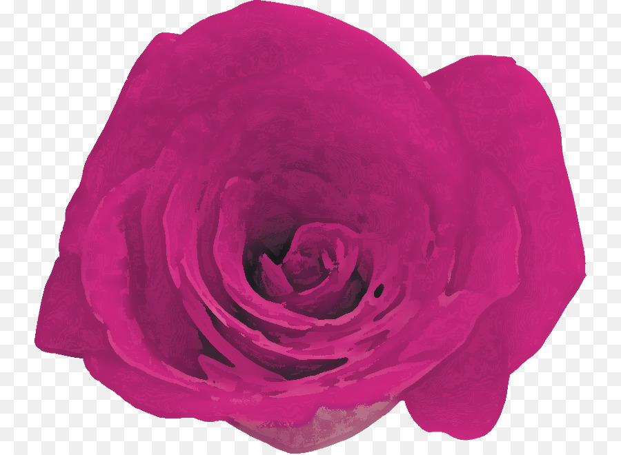 Las Rosas De Jardín，Col Rosa PNG