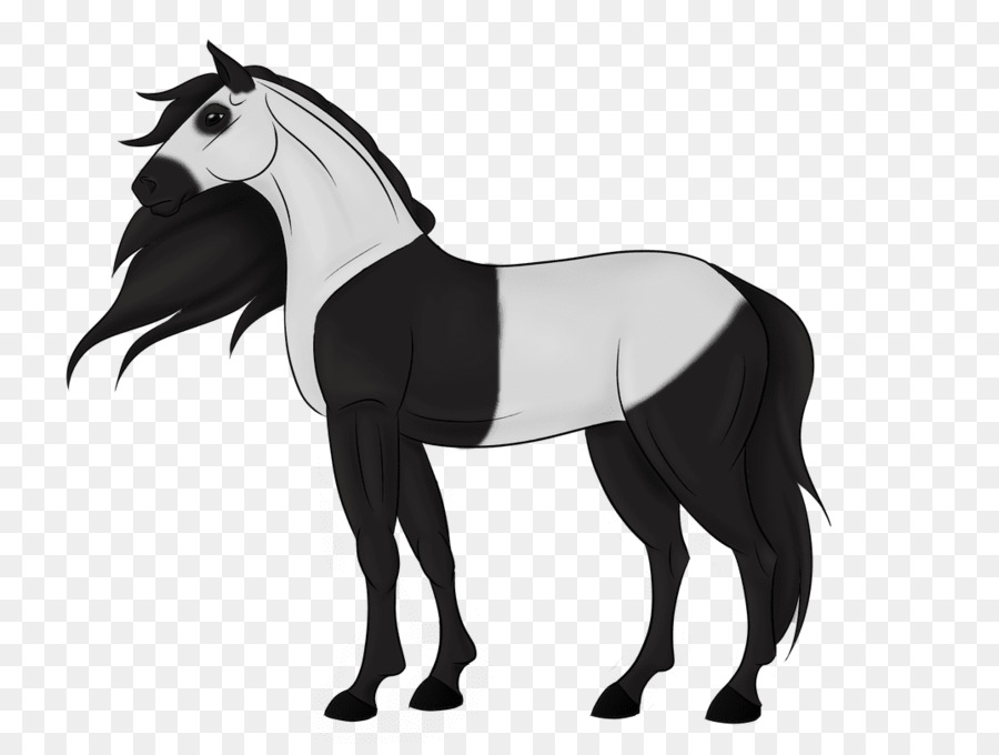 Caballo，Equino PNG