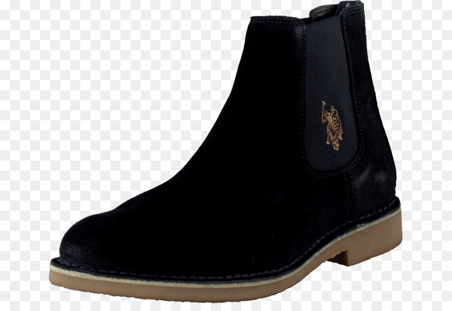 Zapato，Us Polo Assn PNG