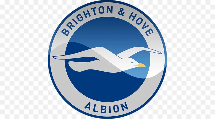 Brighton Hove Albion Fc，Logotipo PNG