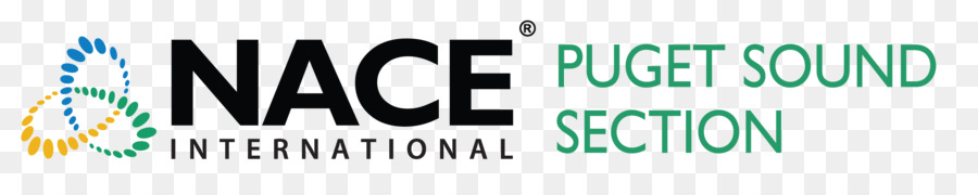 Logotipo，Nace Internacional PNG