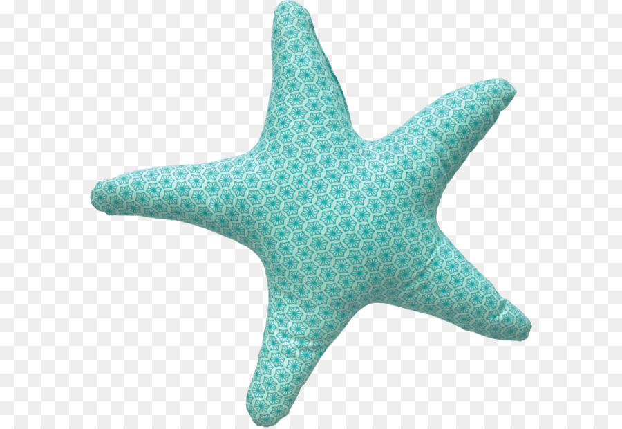 Estrella De Mar，Mar PNG