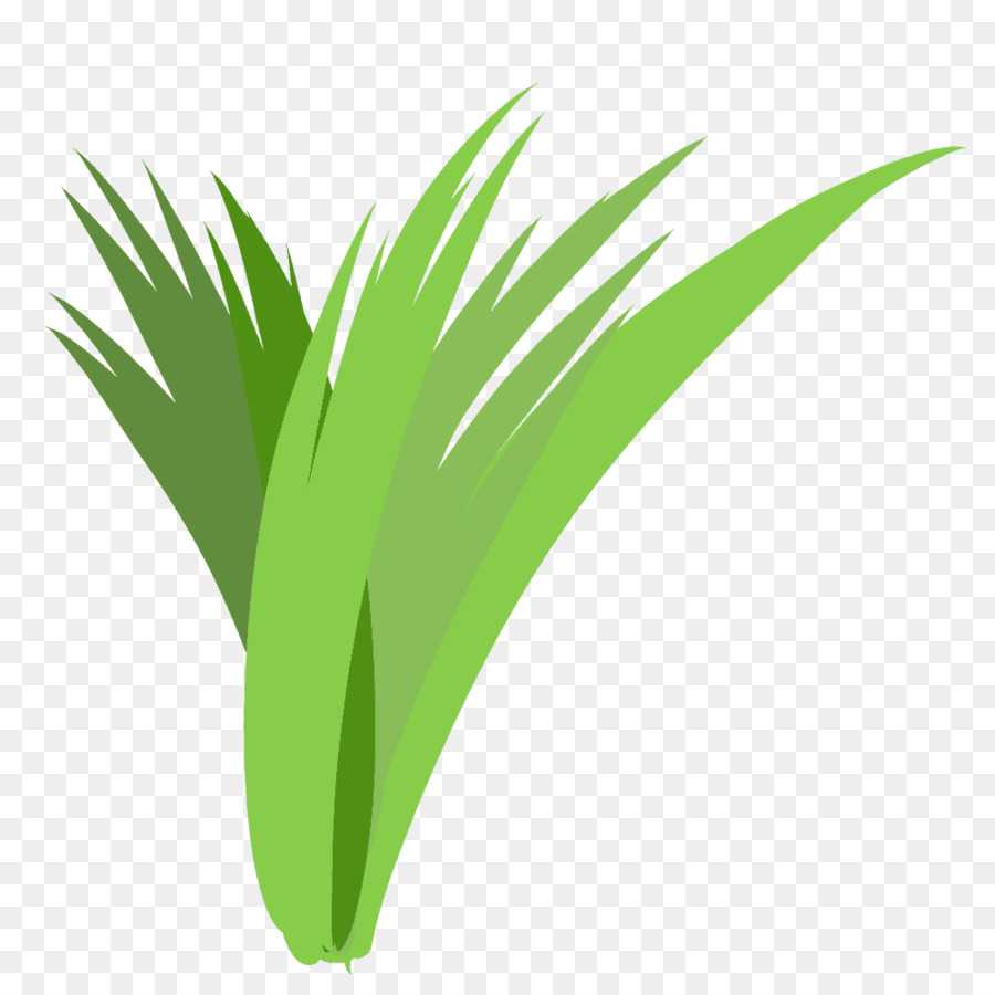 Planta Verde，Naturaleza PNG