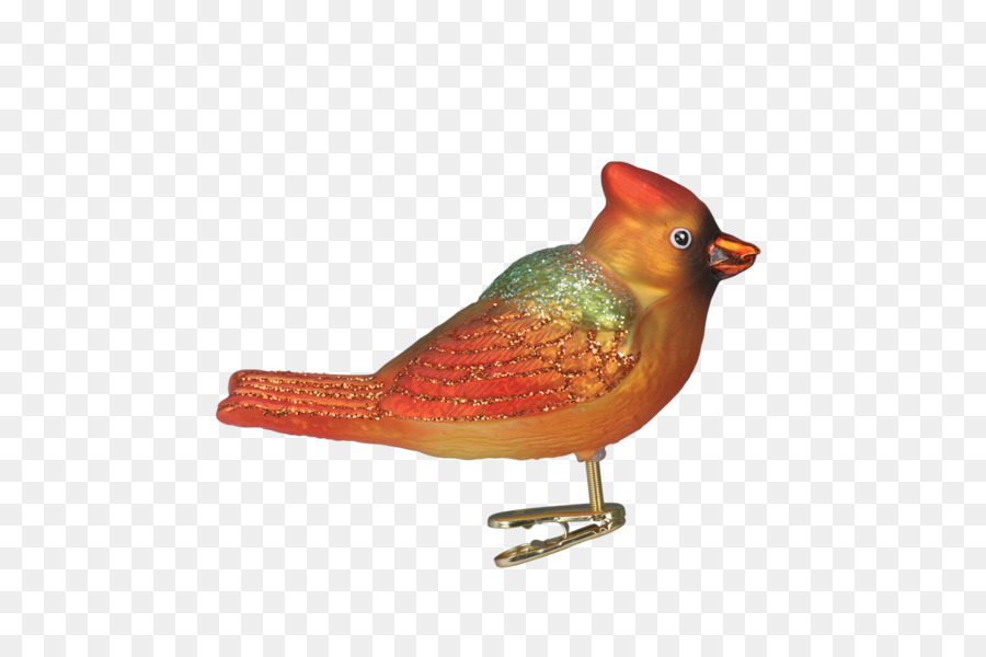 Aves，Pico PNG