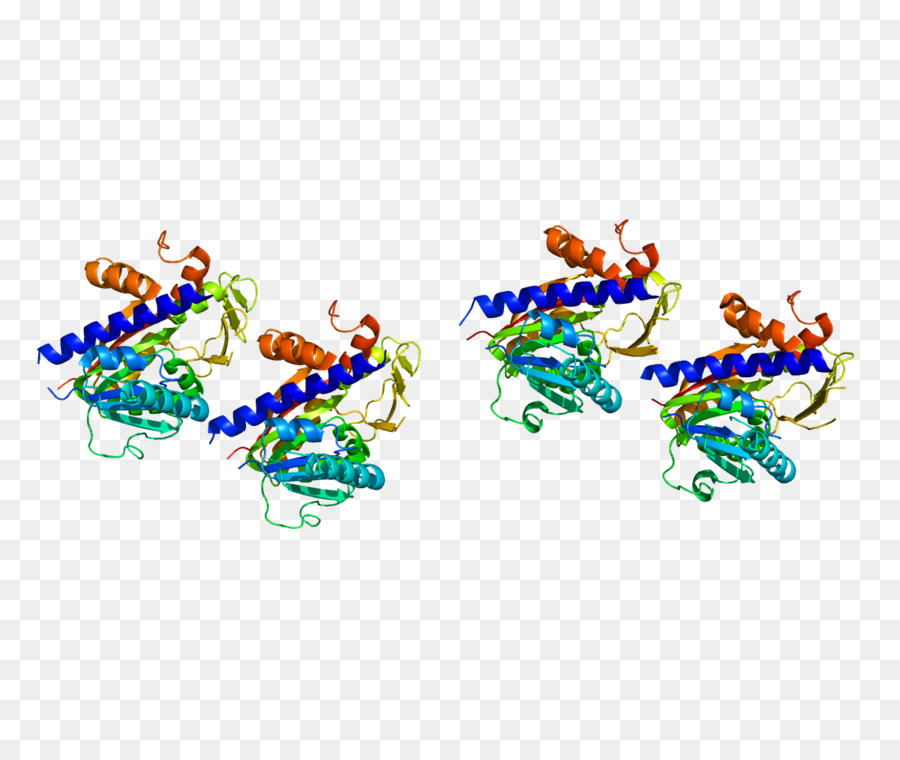 Arnm Guaninen7methyltransferase，Metiltransferasa PNG