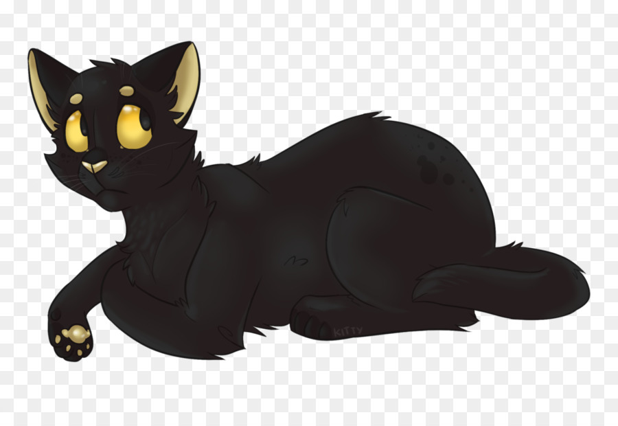 Gato Negro，Animal PNG