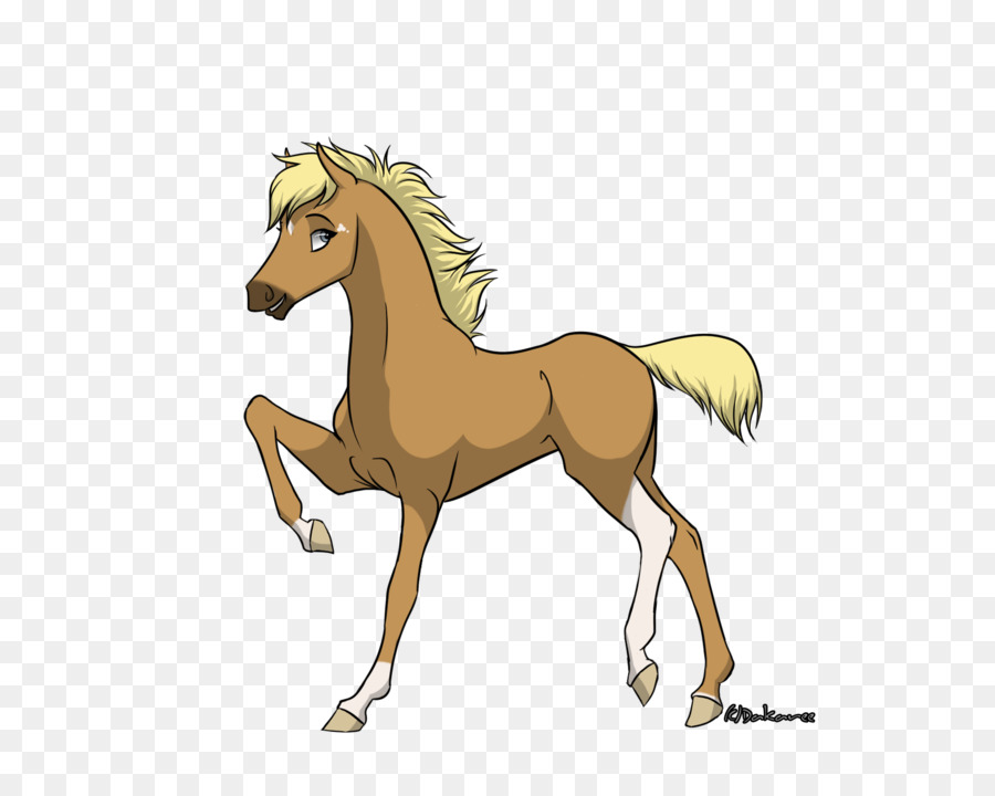 Caballo Corriendo，Animal PNG