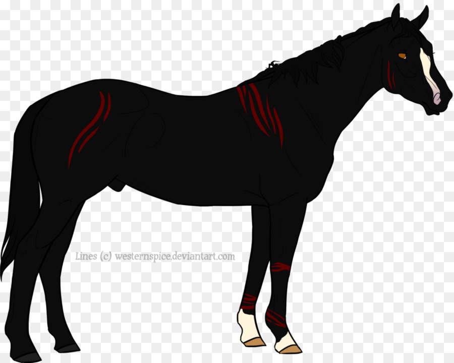 Mustang，Pony PNG