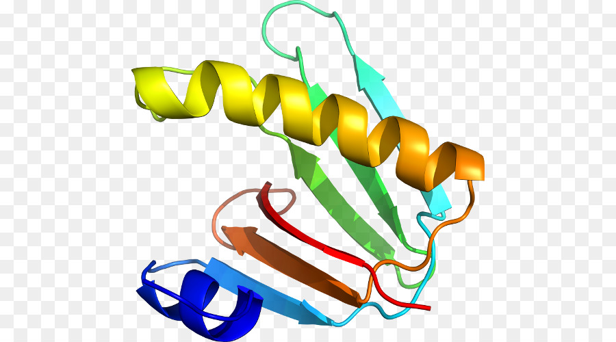 Estructura Proteica，Molécula PNG