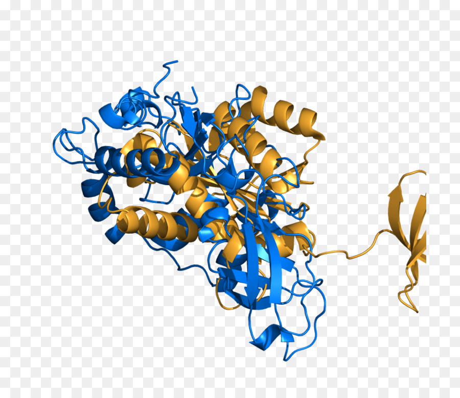 Pymol，El Software Opensource PNG