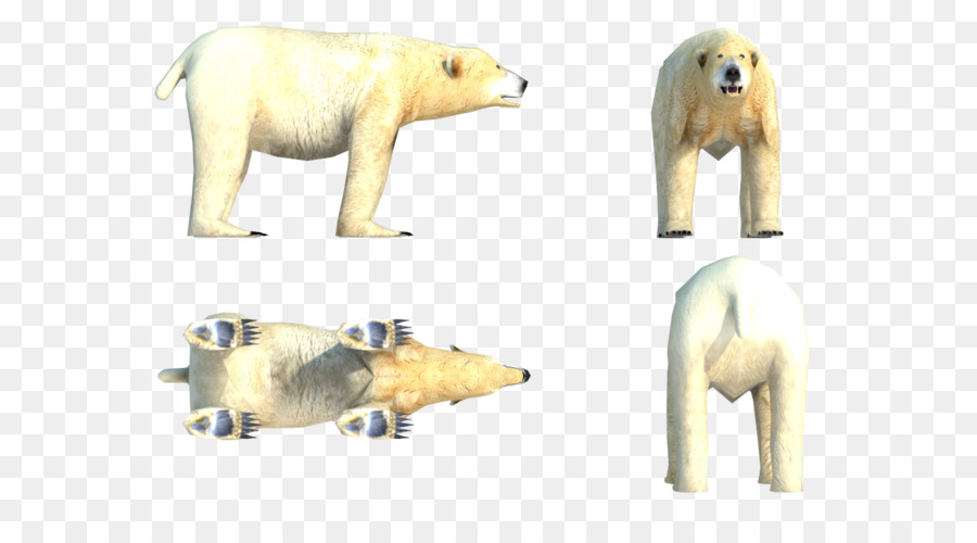 Oso Polar，Oso PNG