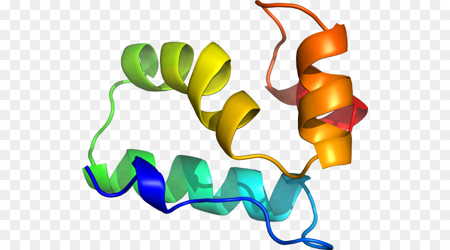 Diseño Gráfico，Hoja PNG