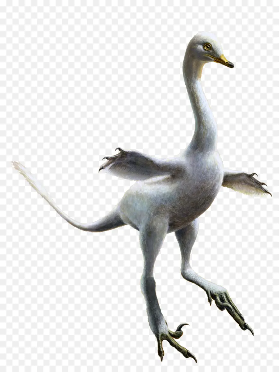 Dinosaurio Emplumado，Prehistórico PNG