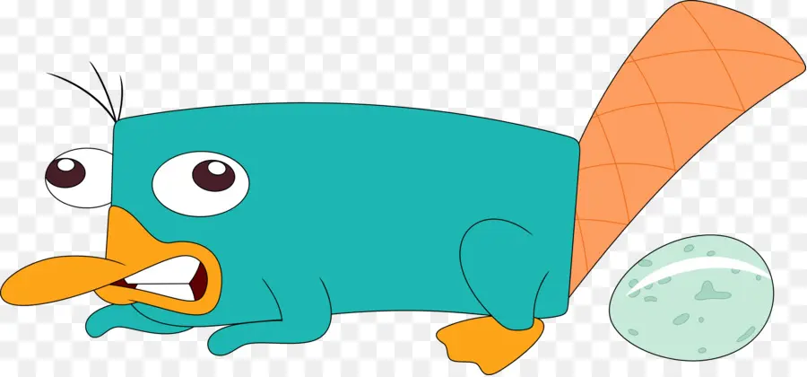 Perry El Ornitorrinco，Ornitorrinco PNG