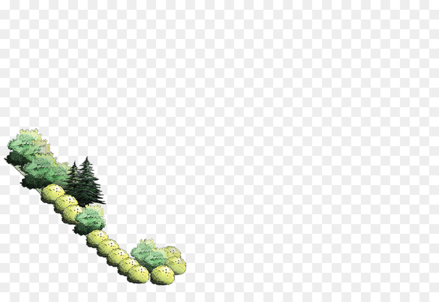 La Fruta，Árbol PNG