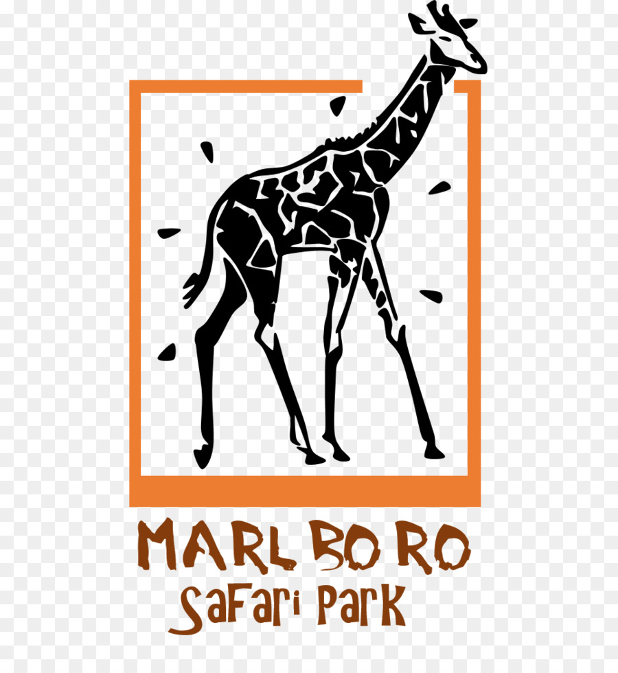 Jirafa，Badoca Safari Park PNG