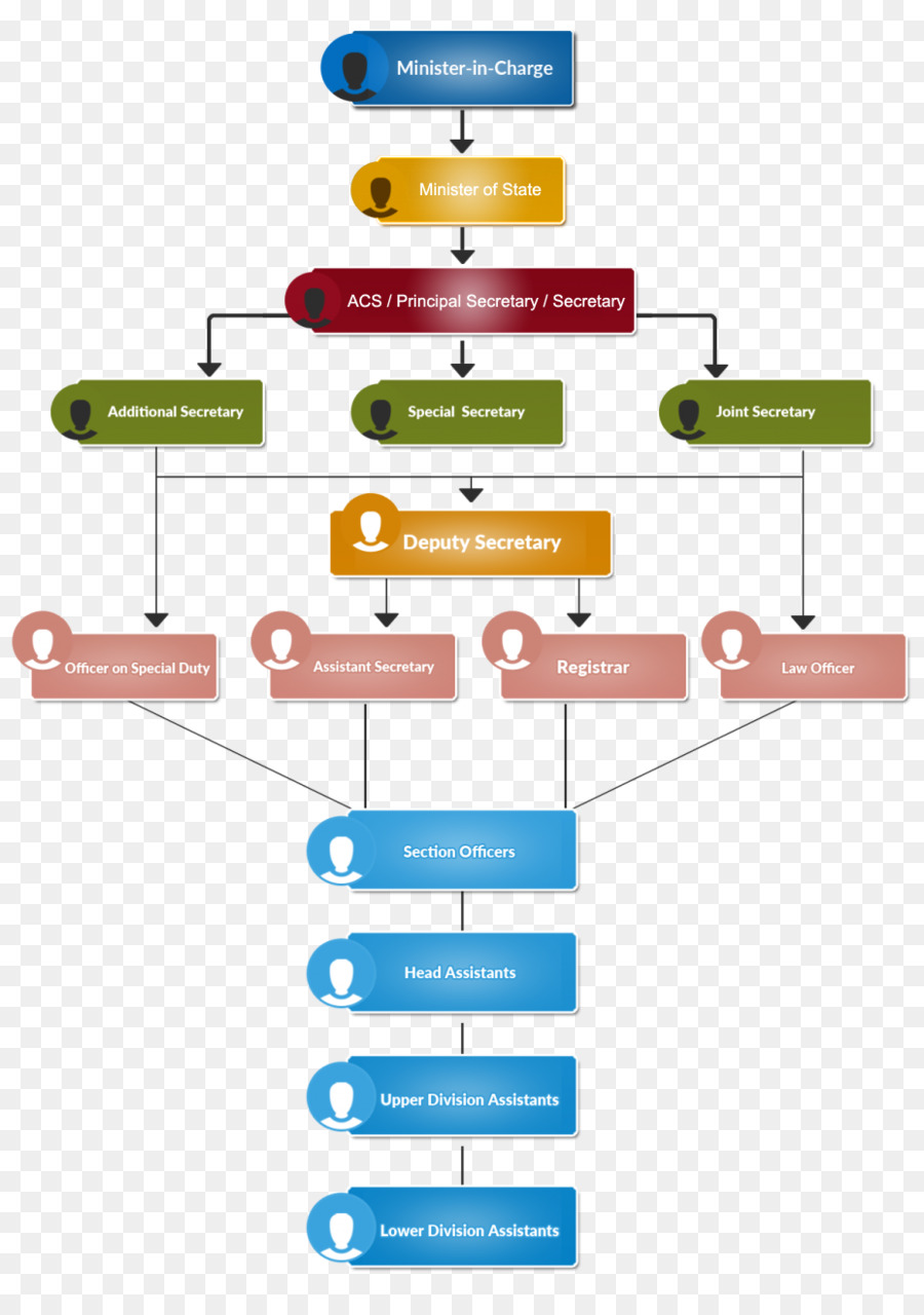 Estructura De La Organización，Organización PNG