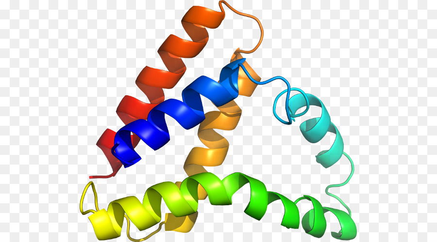 Línea，El Cuerpo De La Joyería PNG