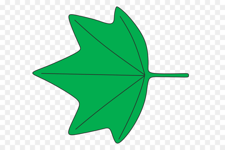 Hoja，Planta PNG