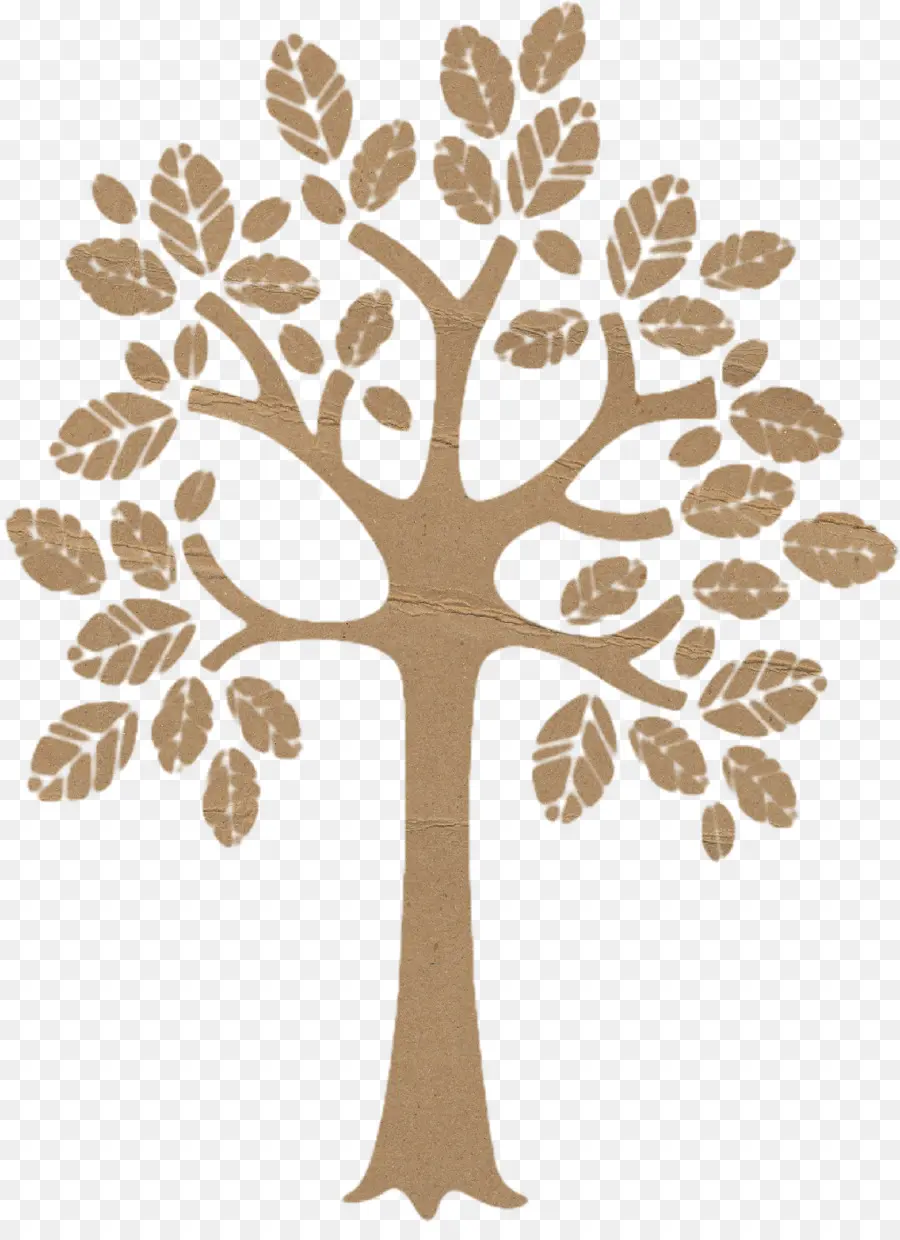 Árbol，Hojas PNG