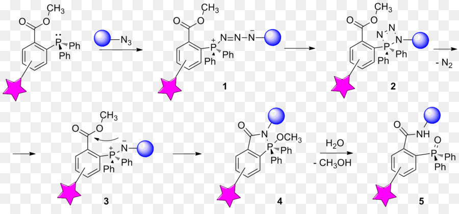 La Reacción De Staudinger，Bioorthogonal Química PNG