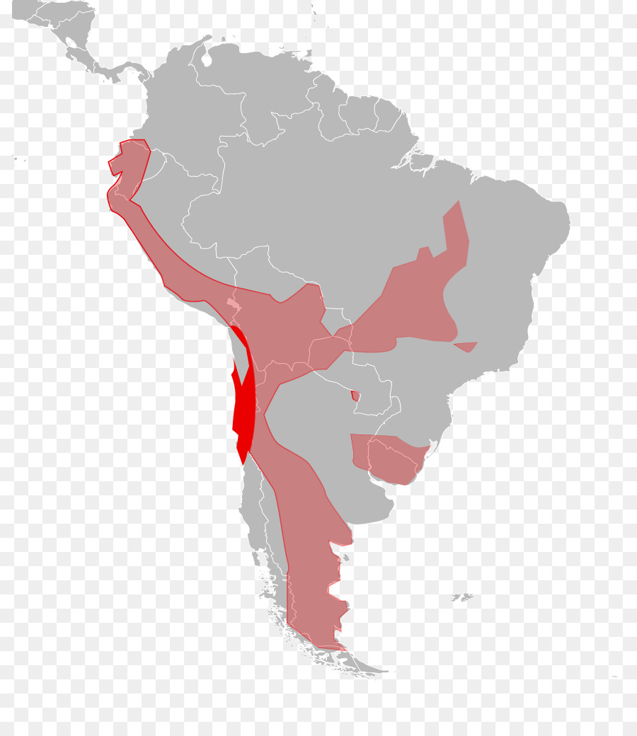 América Del Sur，América Latina PNG