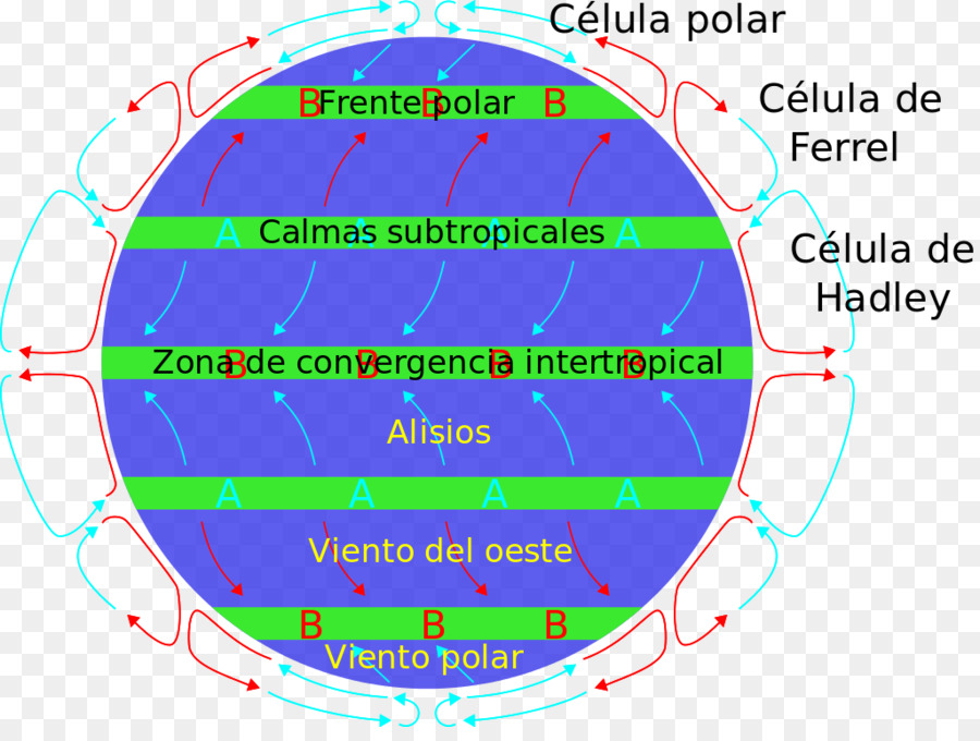 Vientos Alisios，La Célula De Hadley PNG