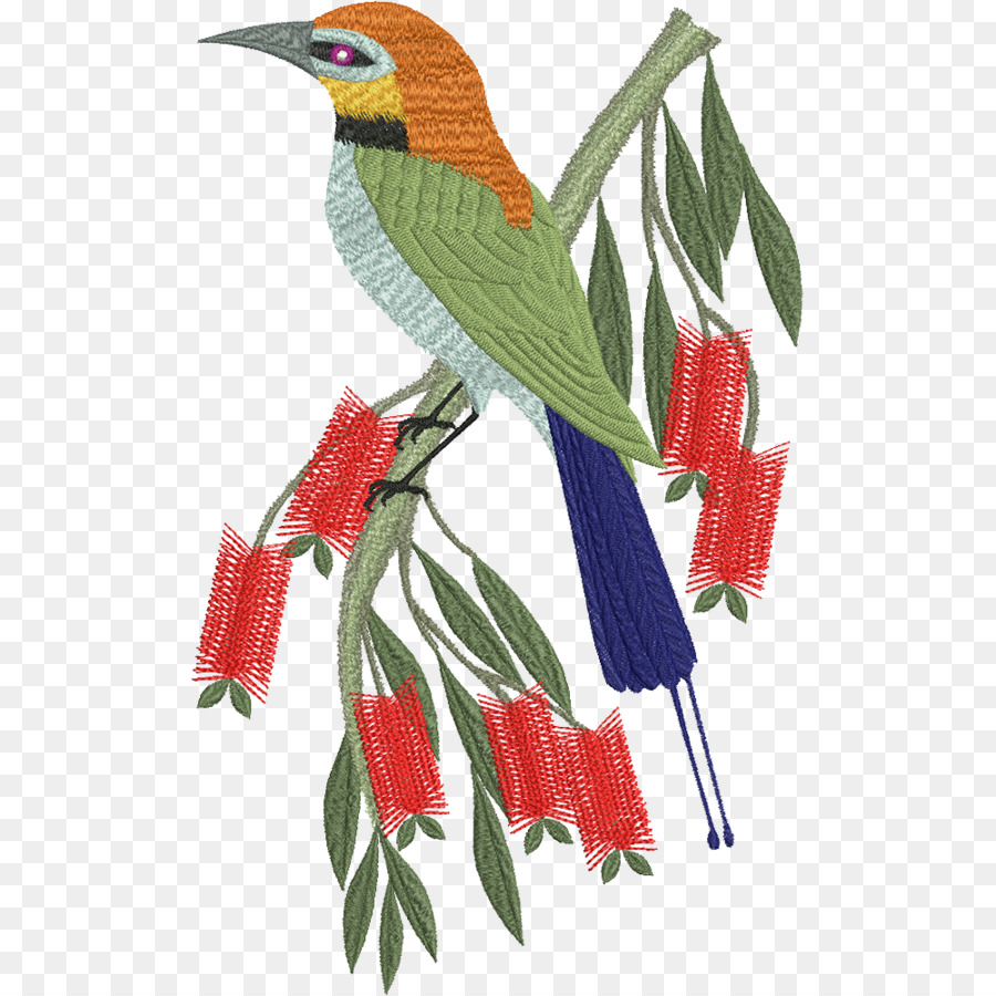 Loro，Aves PNG