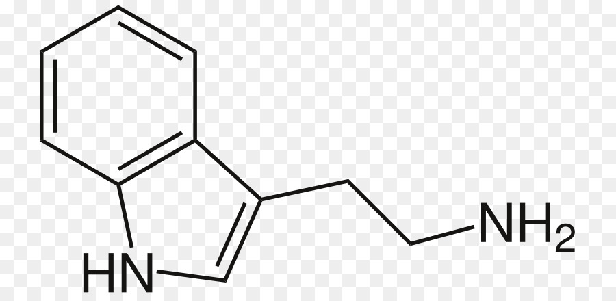 Estructura Química，Molécula PNG