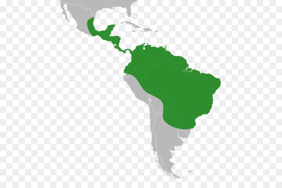 Caribe，Estados Unidos De América PNG