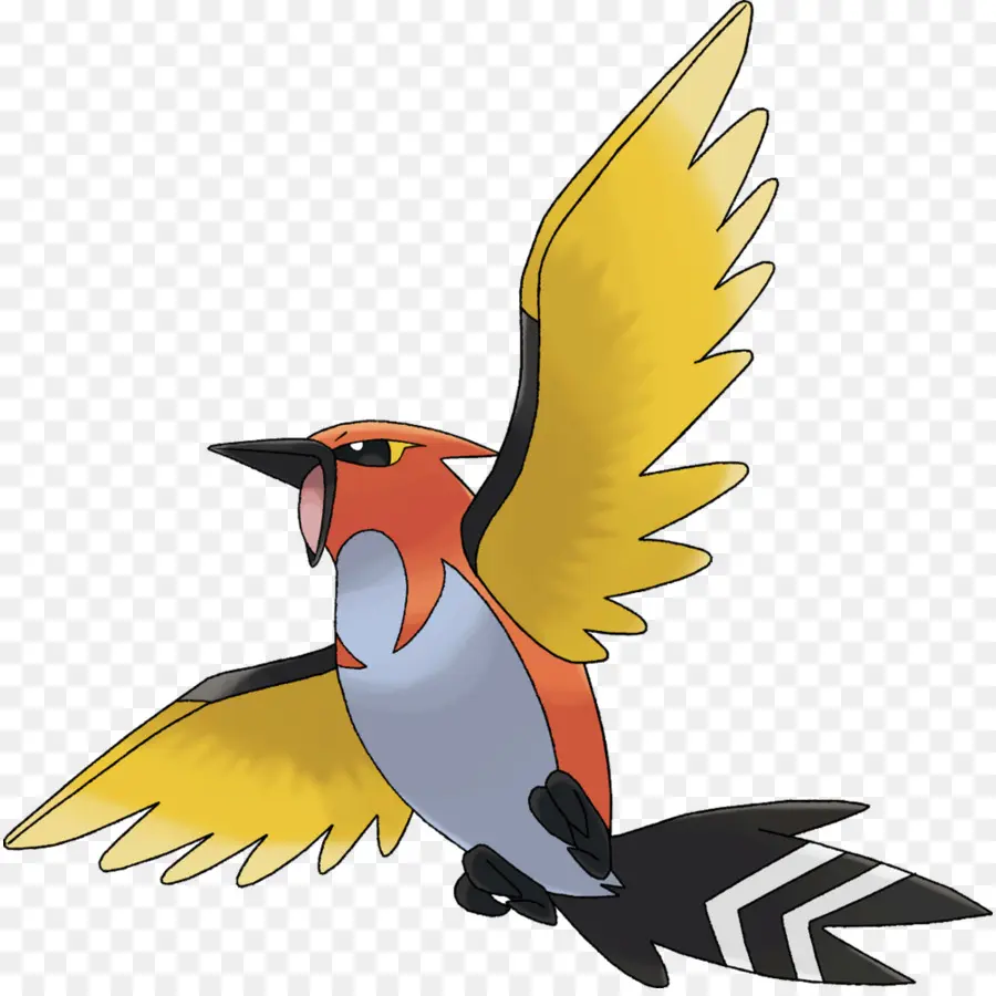 Pájaro，Vuelo PNG