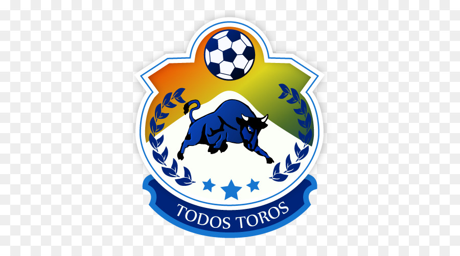 Cd De Provincial Osorno，Fútbol PNG