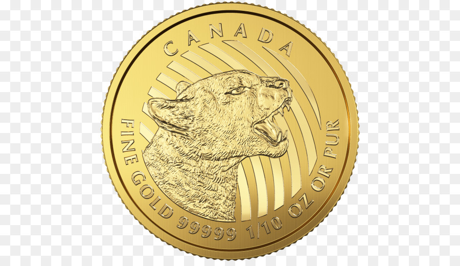 Moneda，Moneda De Oro PNG