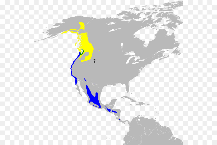 Estados Unidos De América，Mapa PNG