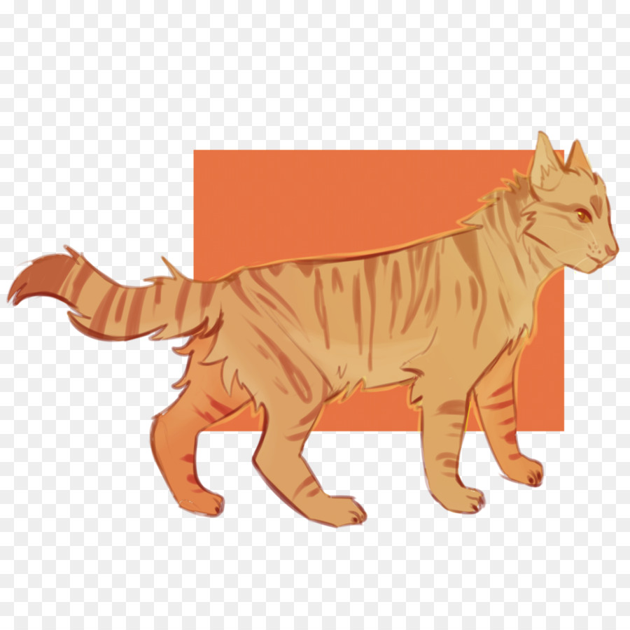 Gato，En La Naturaleza PNG