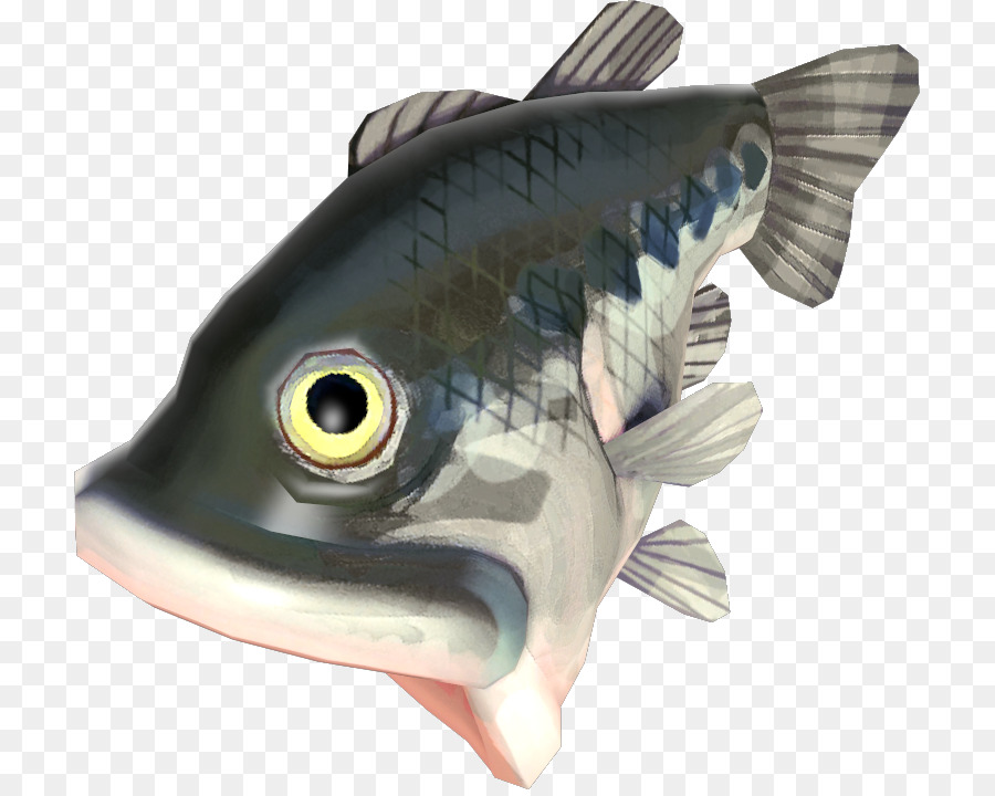 Los Peces，Los Peces óseos PNG