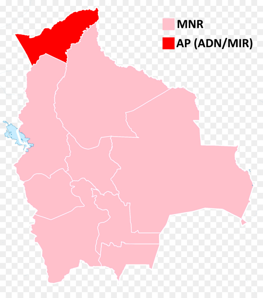 Bolivia，Boliviano En Las Elecciones Generales De 1993 PNG